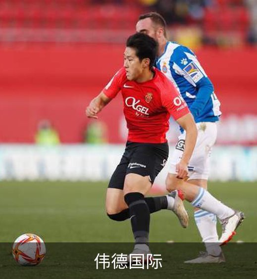 企业介绍